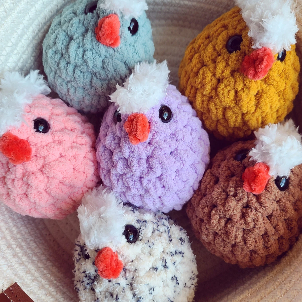 Hatching Chick