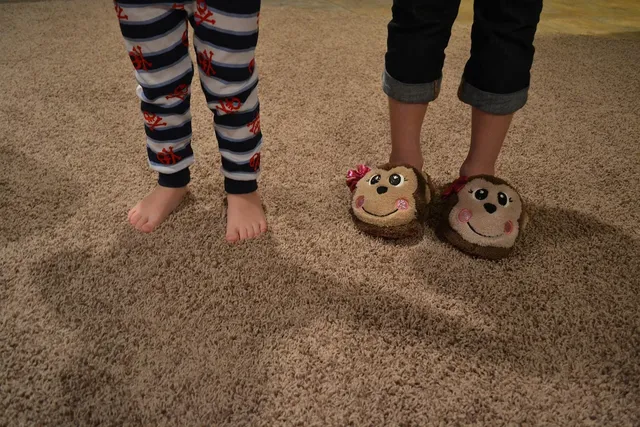 Load image into Gallery viewer, Adult Slippers
