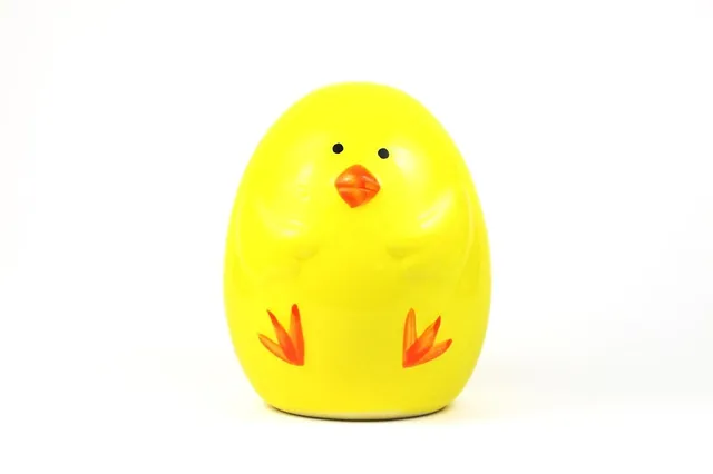Hatching Chick